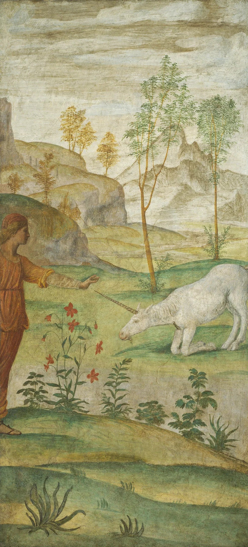 Procris i Jednorożec - Bernardino Luini