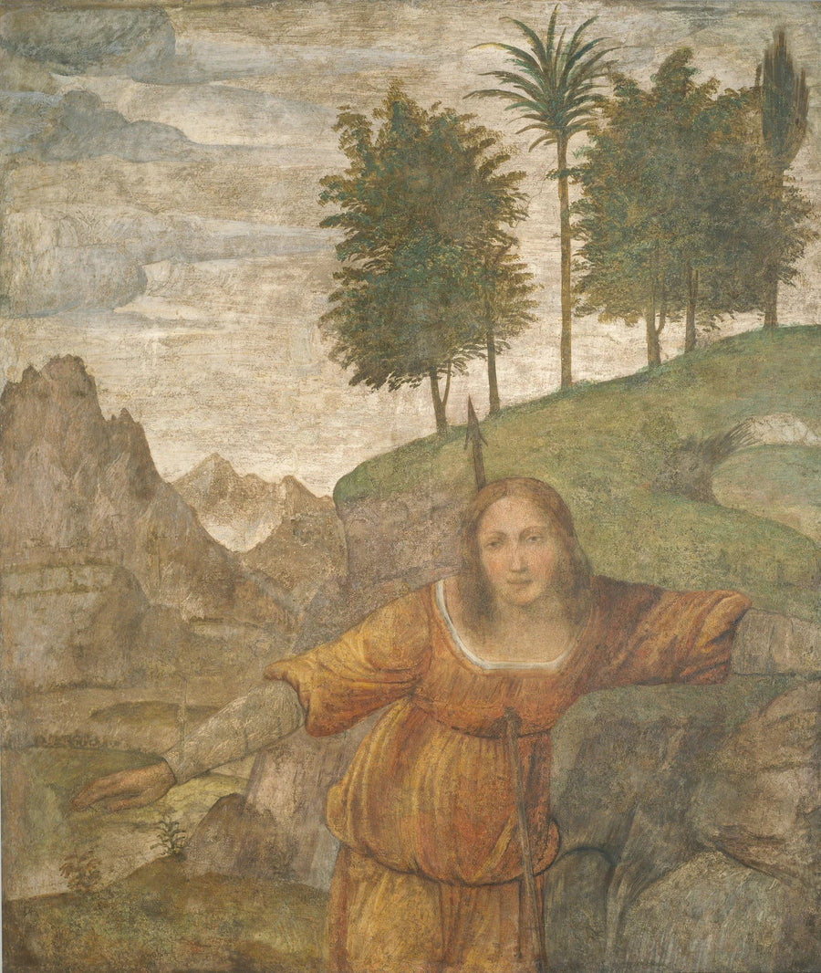 Procris przebita przez oszczep Cepheusa - Bernardino Luini