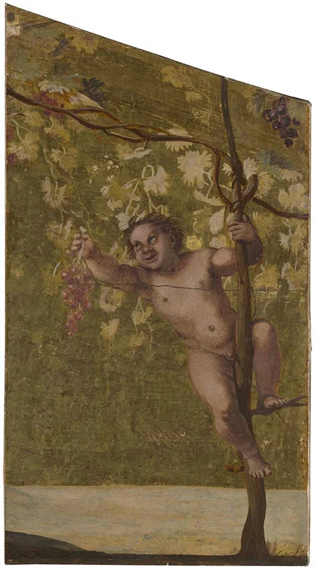 Putto zbierający winogrona - Annibale Carracci