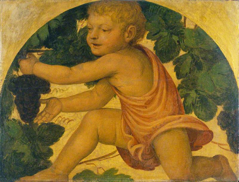 Putto zbierający winogrona - Bernardino Luini
