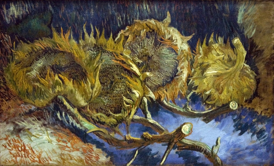 Cztery zwiędłe słoneczniki - Vincent van Gogh