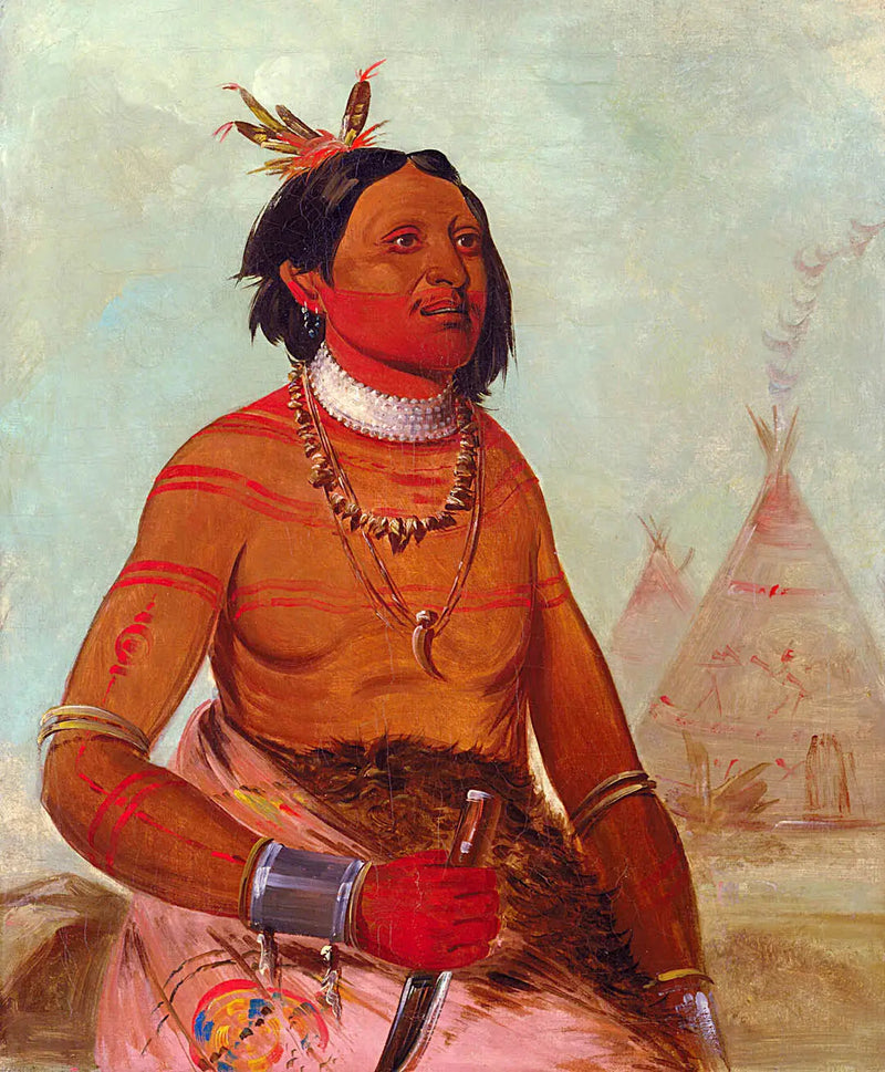 Quáy-hám-kay, Stone Shell, odważny - George Catlin