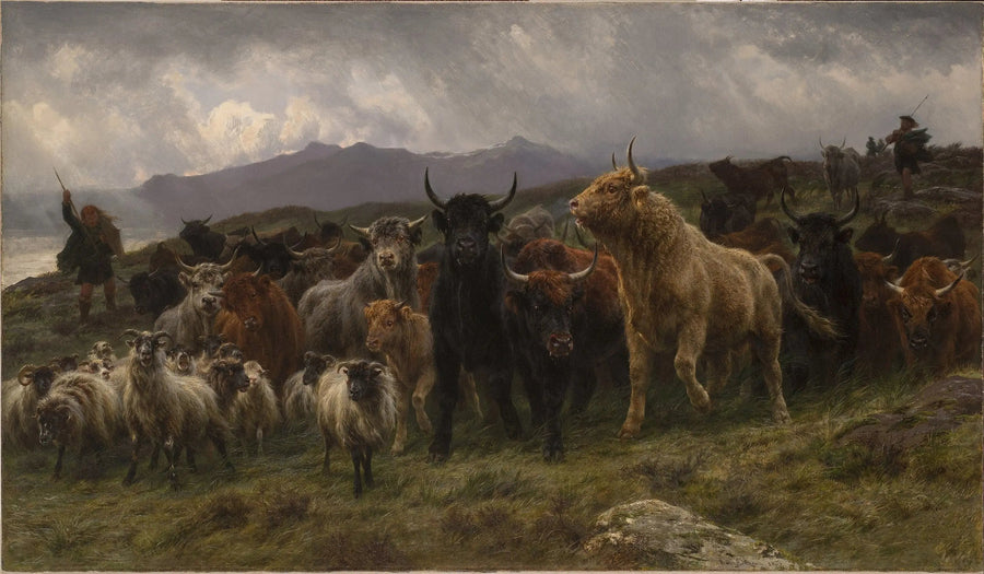 Rajd Highlands - Rosa Bonheur