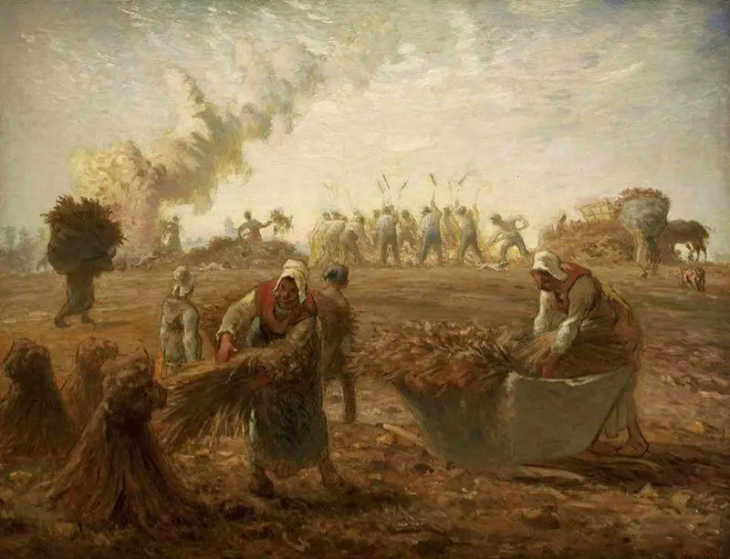 Zbiór gryki, lato - Jean-François Millet