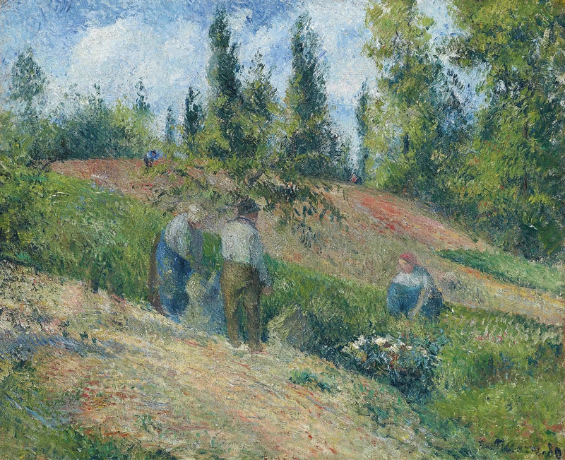 Zbiory jabłek, Pontoise - Camille Pissarro