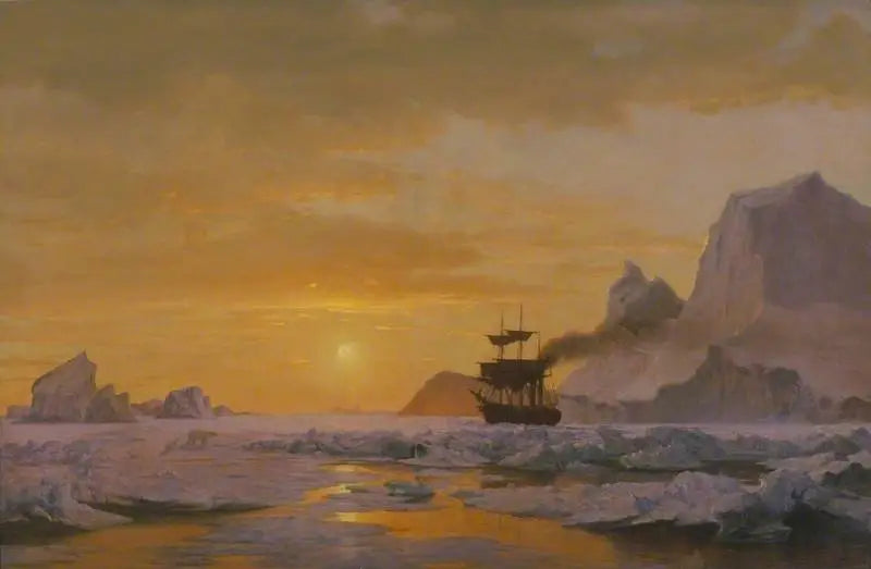 regiony arktyczne - William Bradford
