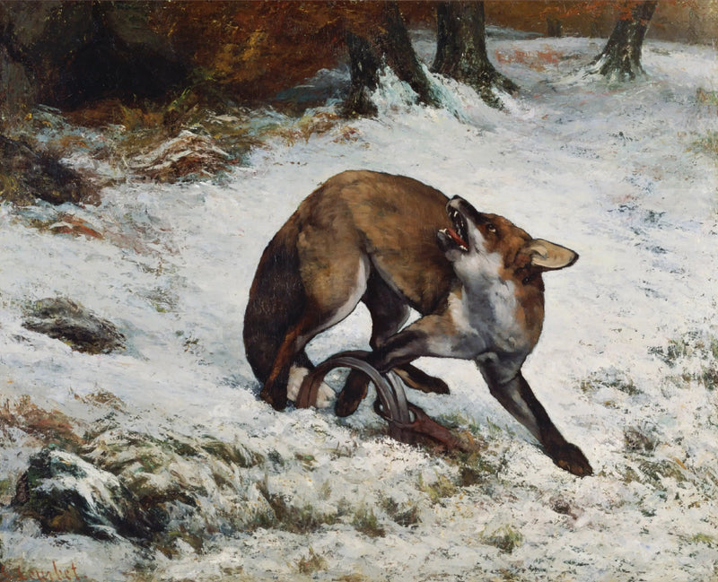 Lis złapany w pułapkę - Gustave Courbet