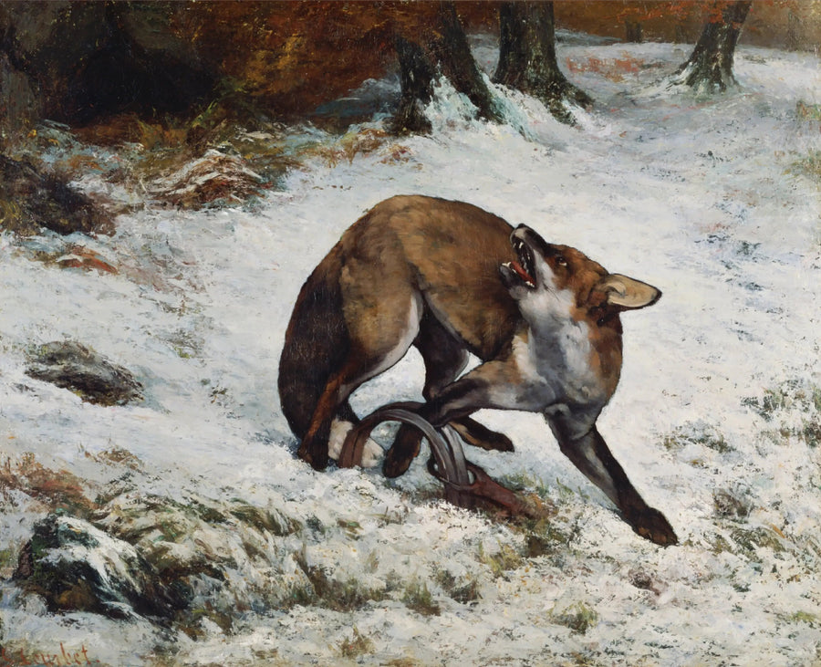 Lis złapany w pułapkę - Gustave Courbet