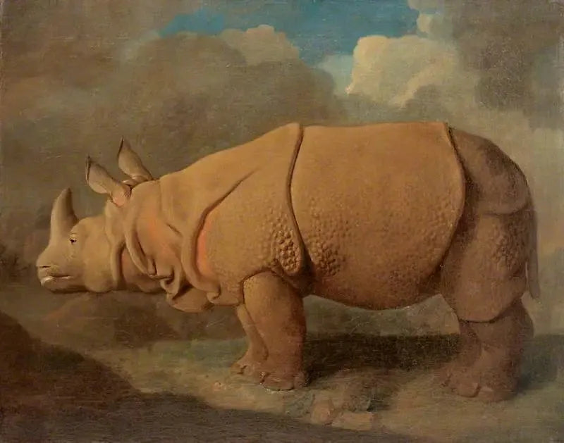 Nosorożec - George Stubbs