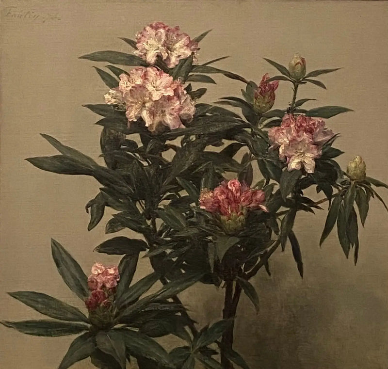 Rododendrony - Henri Fantin-Latour