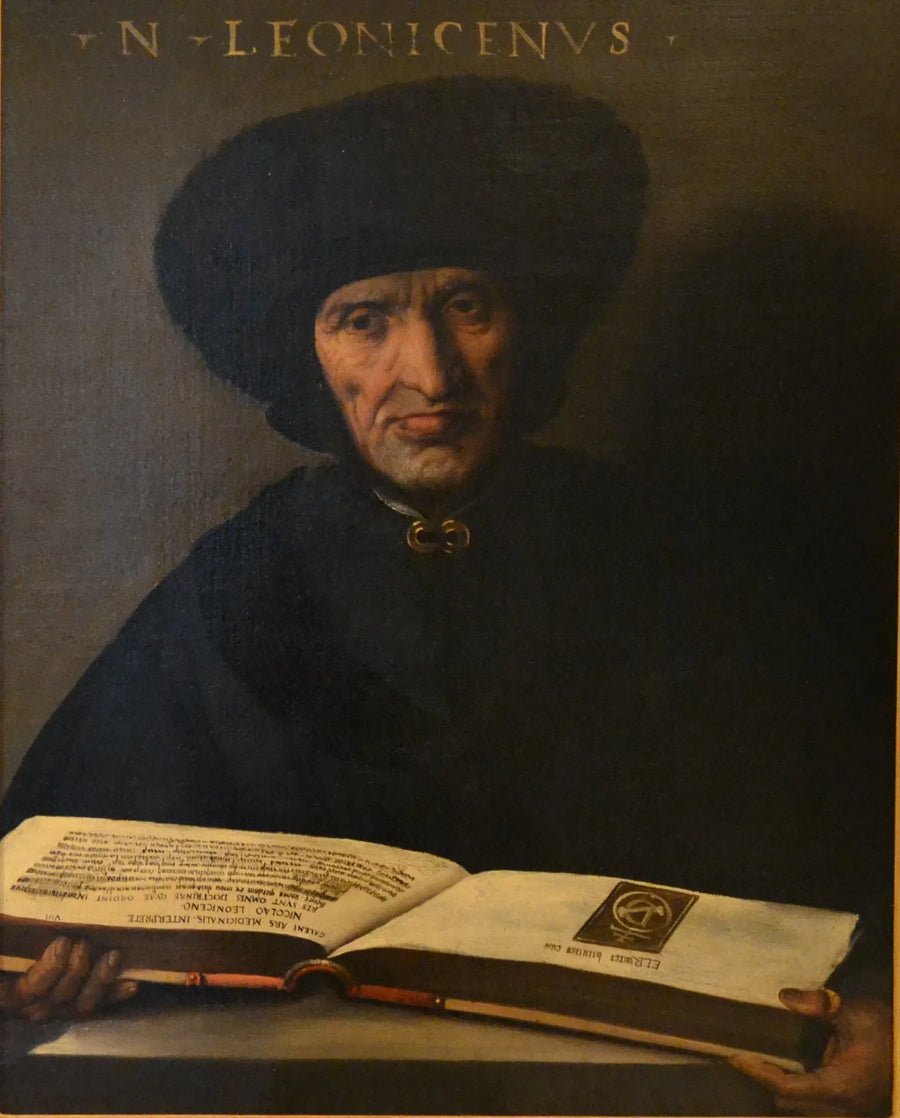 Ritratto di Niccolò Leoniceno - Dosso Dossi
