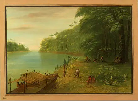 Rzeka Essequibo - George Catlin