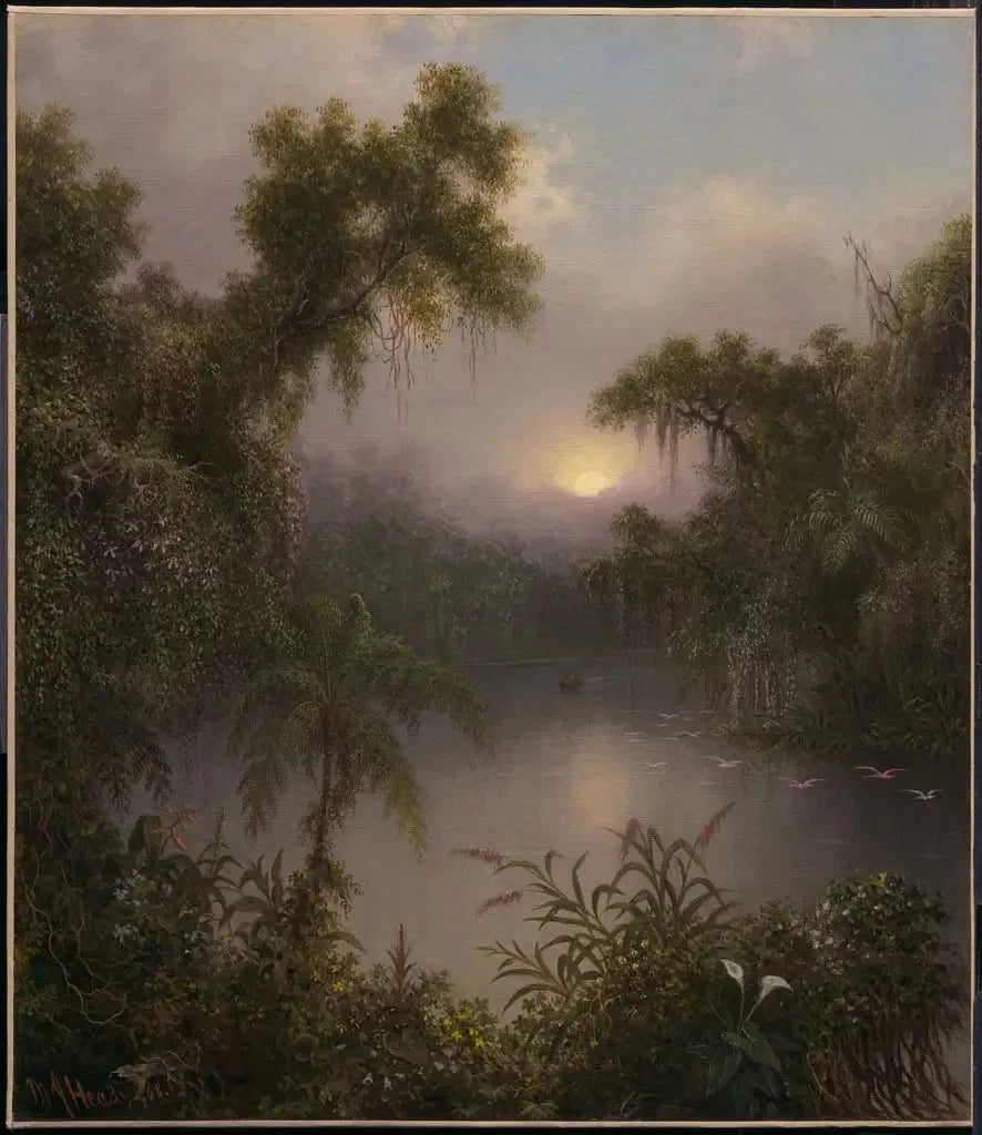 Południowoamerykański strumień - Martin Johnson Heade