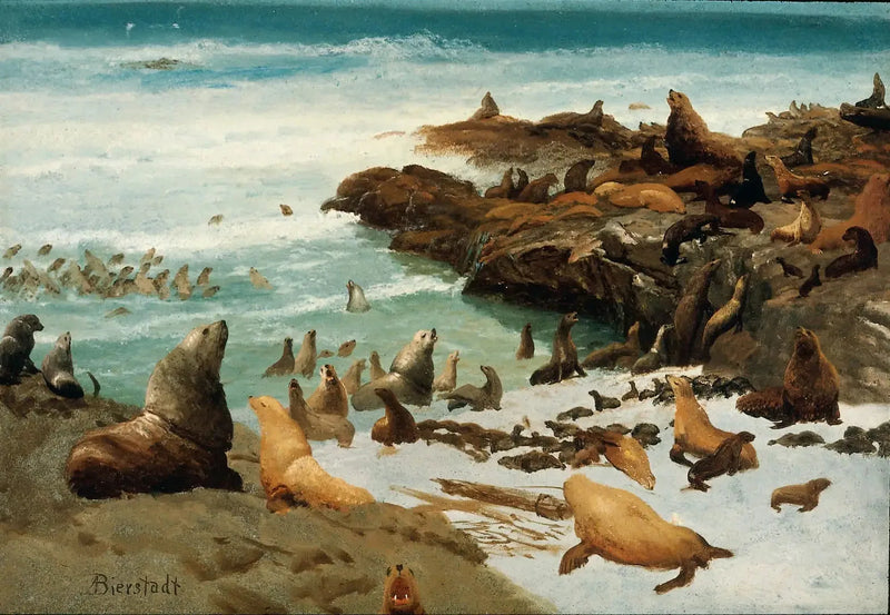 Skały fok, Farallony - Albert Bierstadt