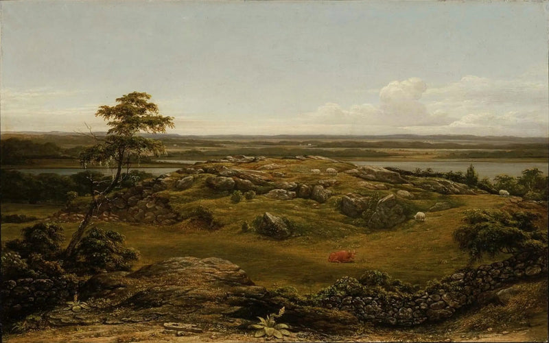 Skały w Nowej Anglii - Martin Johnson Heade