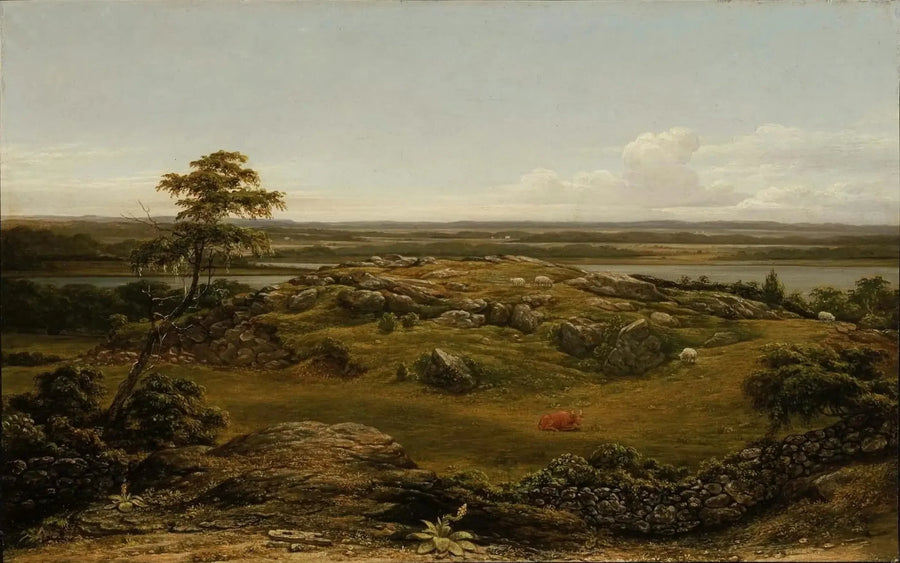 Skały w Nowej Anglii - Martin Johnson Heade