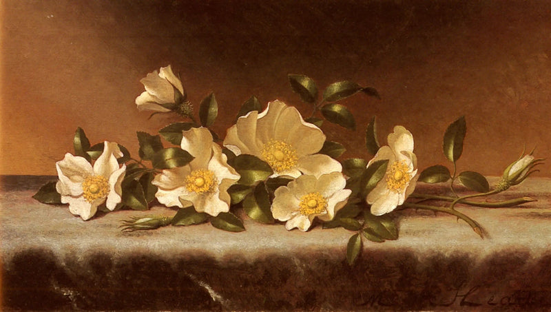 Róże Cherokee na jasnoszarym materiale - Martin Johnson Heade