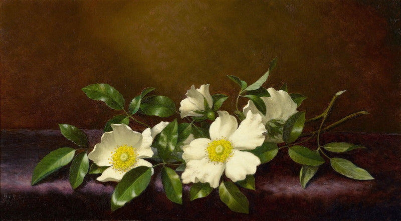 Róże Cherokee na fioletowej tkaninie - Martin Johnson Heade