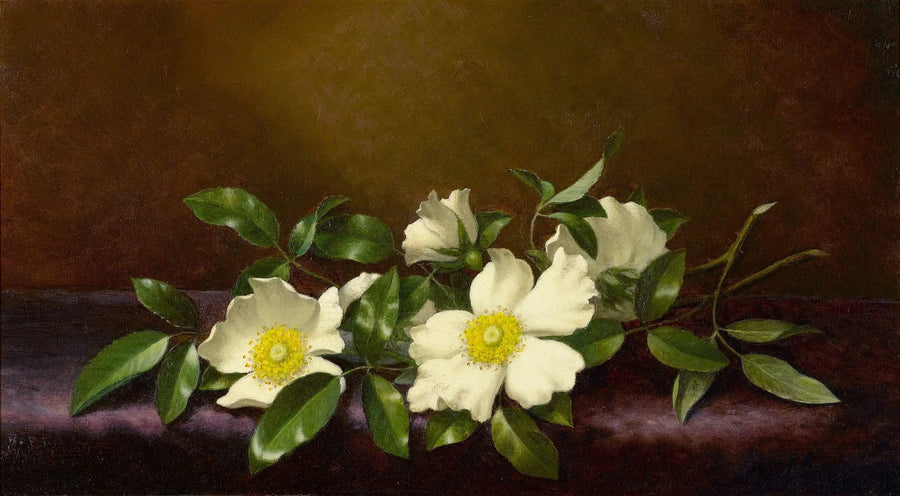 Róże Cherokee na fioletowej tkaninie - Martin Johnson Heade