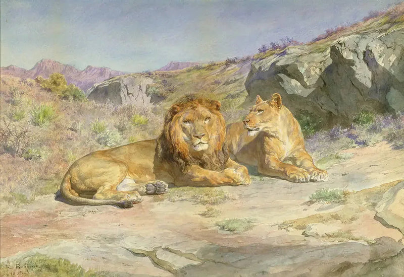 Royale w domu - Rosa Bonheur