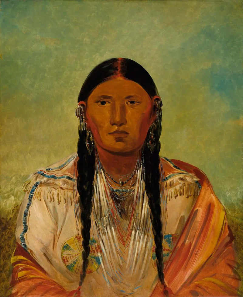 Ru-ton-wee-me, gołąb na skrzydle - George Catlin