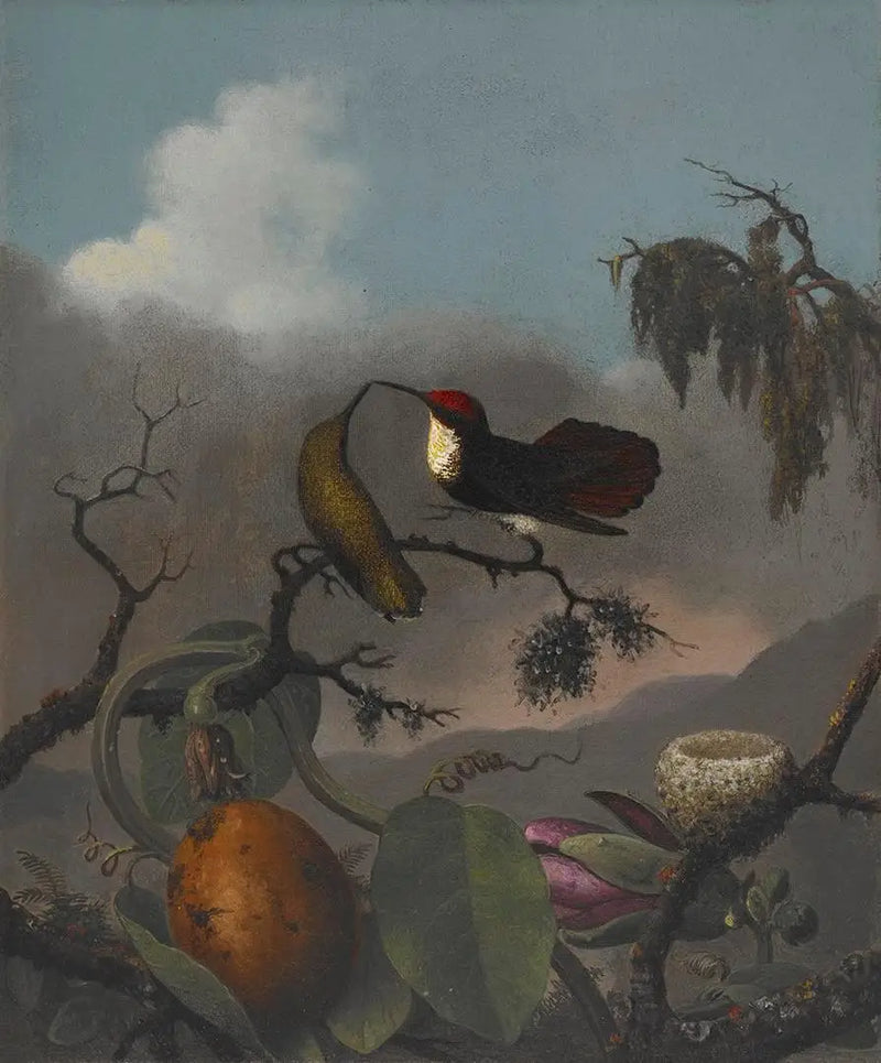 Rubin-topaz - Martin Johnson Heade
