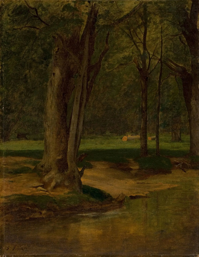 Potok z pstrągami, North Conway - George Inness