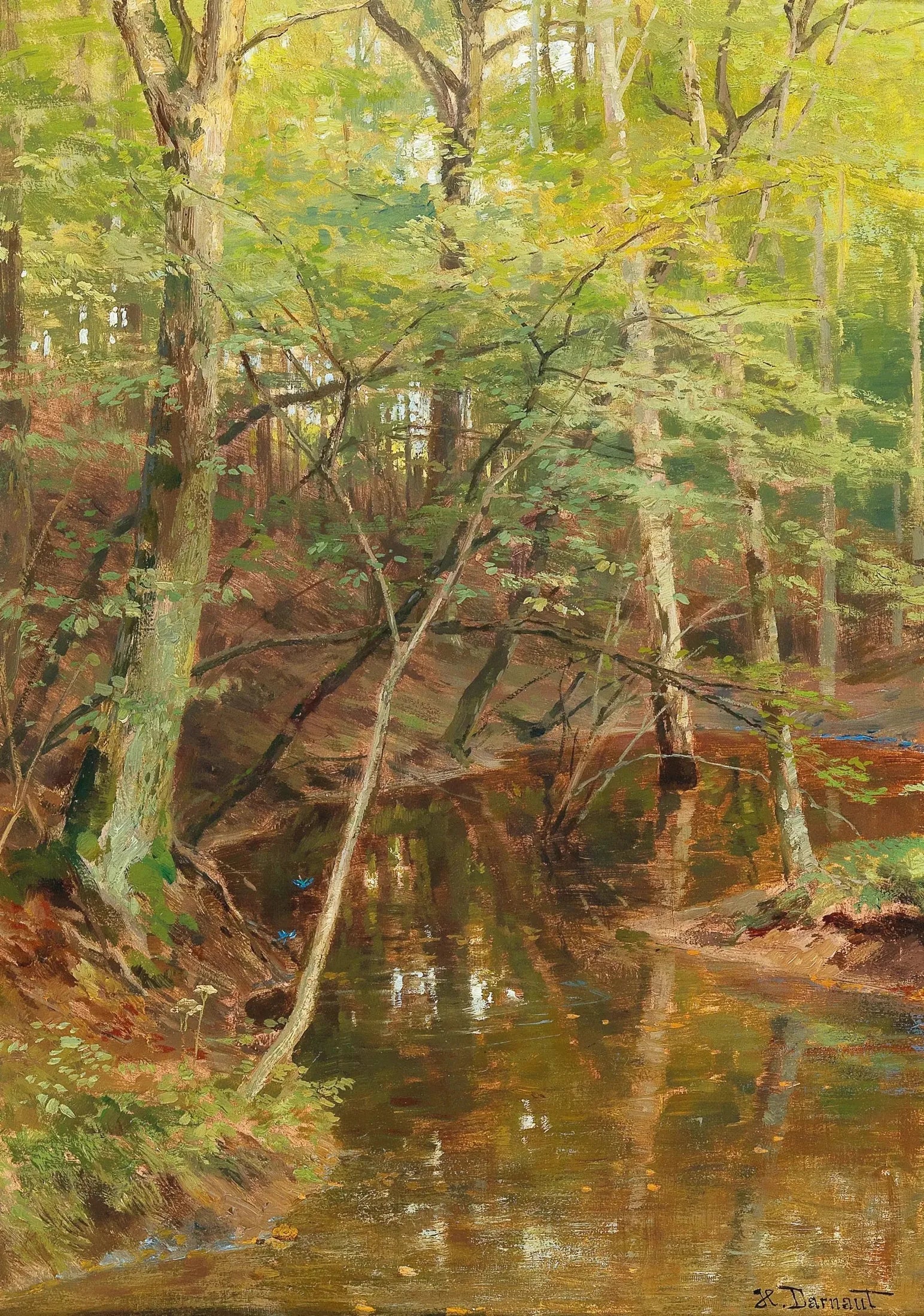 Ruisseau Woodland - Hugo Darnaut - Alpha Reproduction
