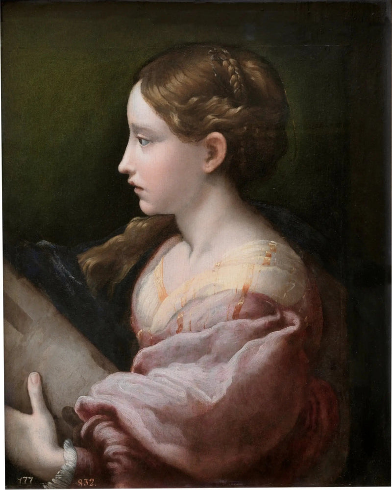 Święta Barbara - Parmigianino