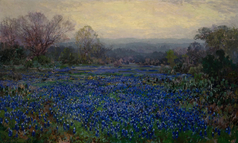 Bez tytułu (Pole niebieskich łubin) - Julian Onderdonk