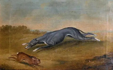 Bez tytułu (Pies polujący na zająca) - George Stubbs