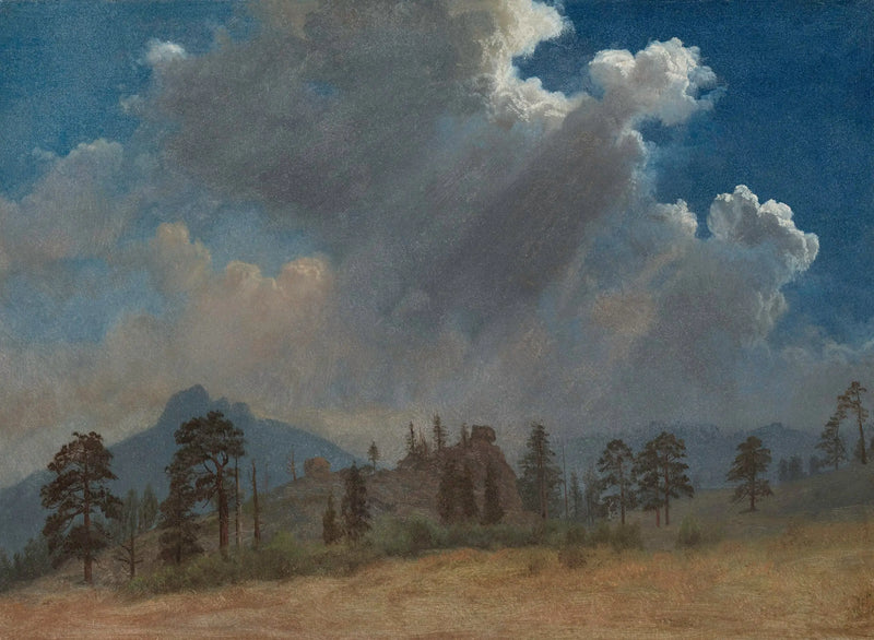 Świerki i chmury burzowe - Albert Bierstadt