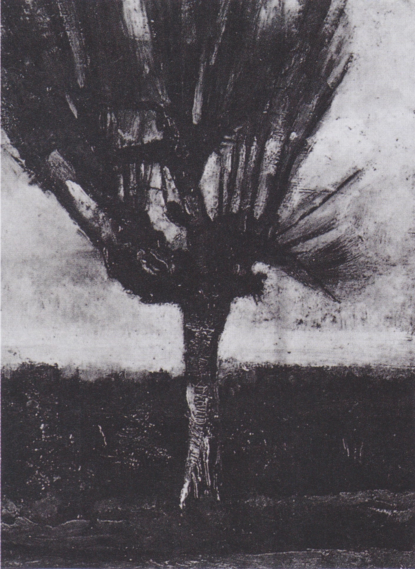 Le Saule F195 JH961 — Vincent van Gogh