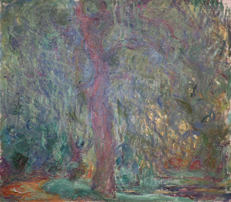 Płacząca wierzba, Marmottan W1877 - Claude Monet