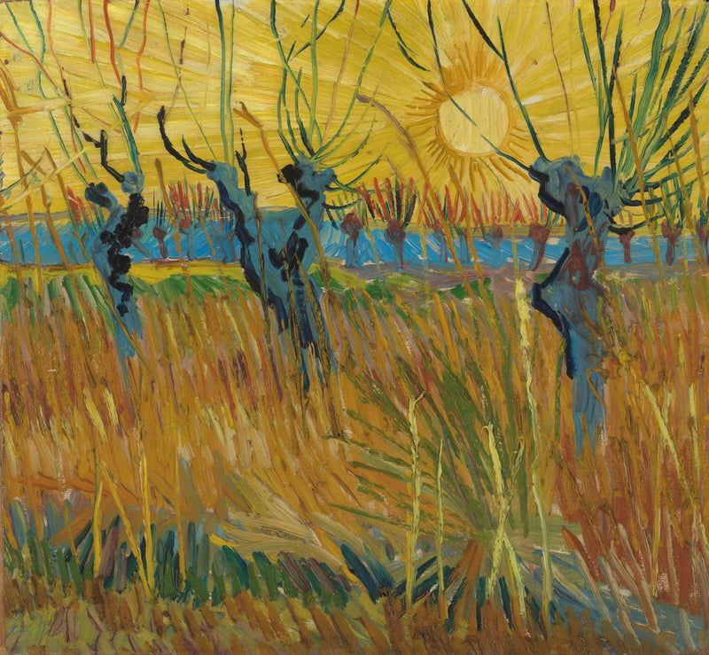 Wierzby w zachodzącym słońcu - Vincent van Gogh