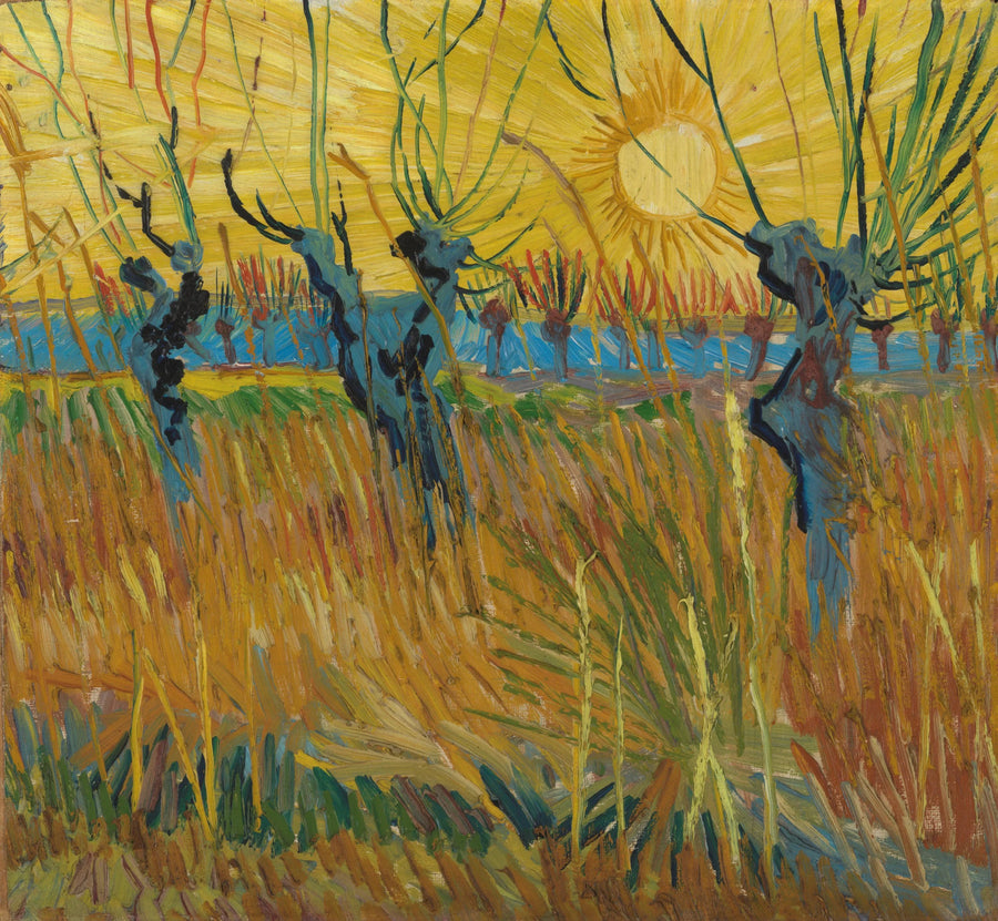 Wierzby w zachodzącym słońcu - Vincent van Gogh