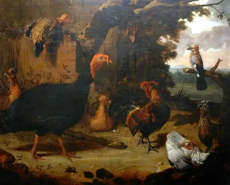 Scena na farmie, czarna indyczka - Melchior de Hondecoeter