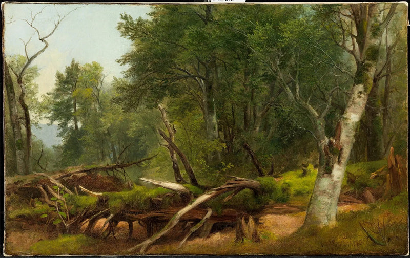 Scena leśna w Catskills - Asher Brown Durand
