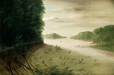Scena z Dolnego Missisipi - George Catlin