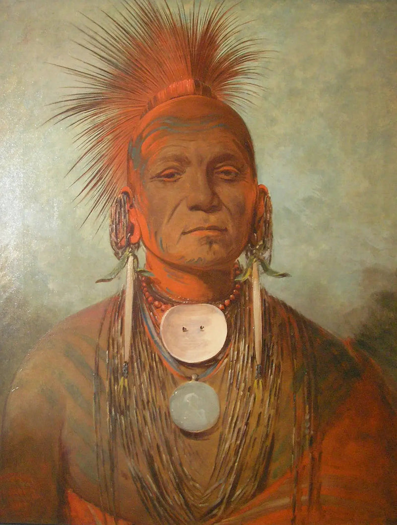 See-non-ty-a, uzdrowiciel z Iowa - George Catlin