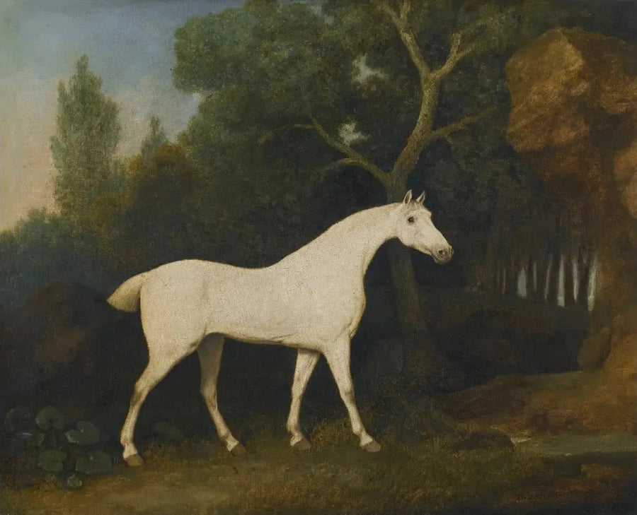 Selim, szary myśliwy w zagrodzie - George Stubbs