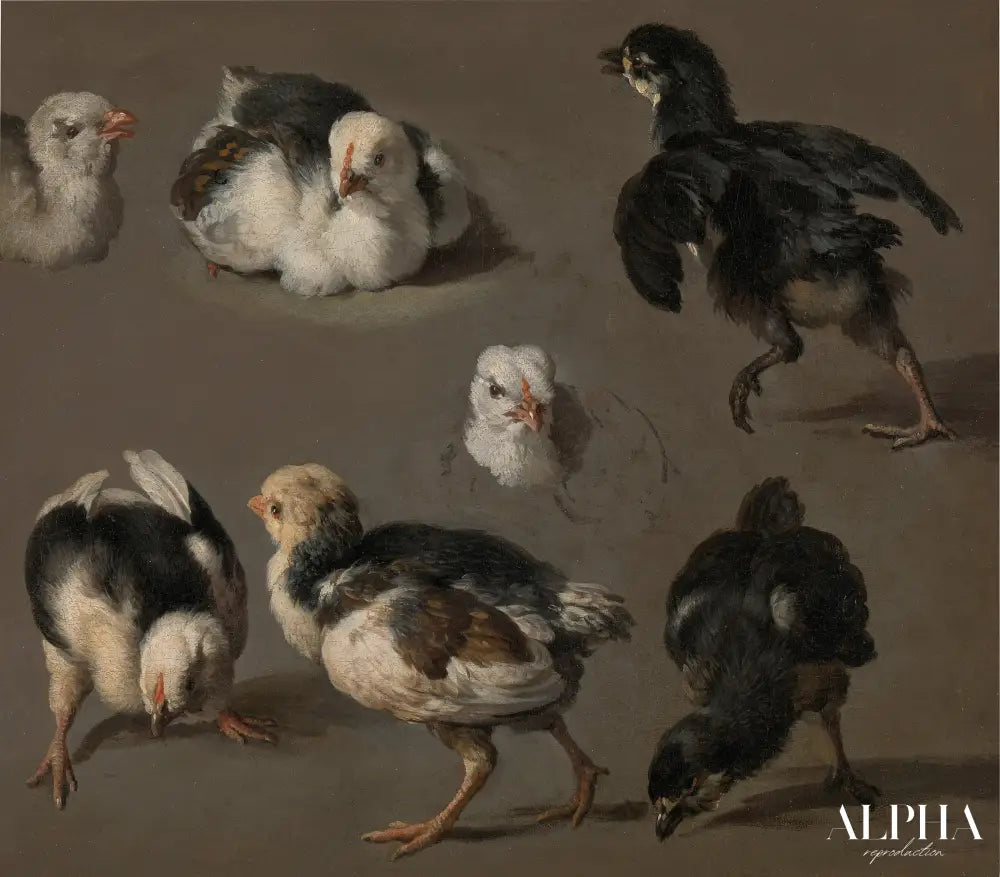 Sept poussins - Melchior d'Hondecoeter - Reproductions de tableaux et peintures haut de gamme