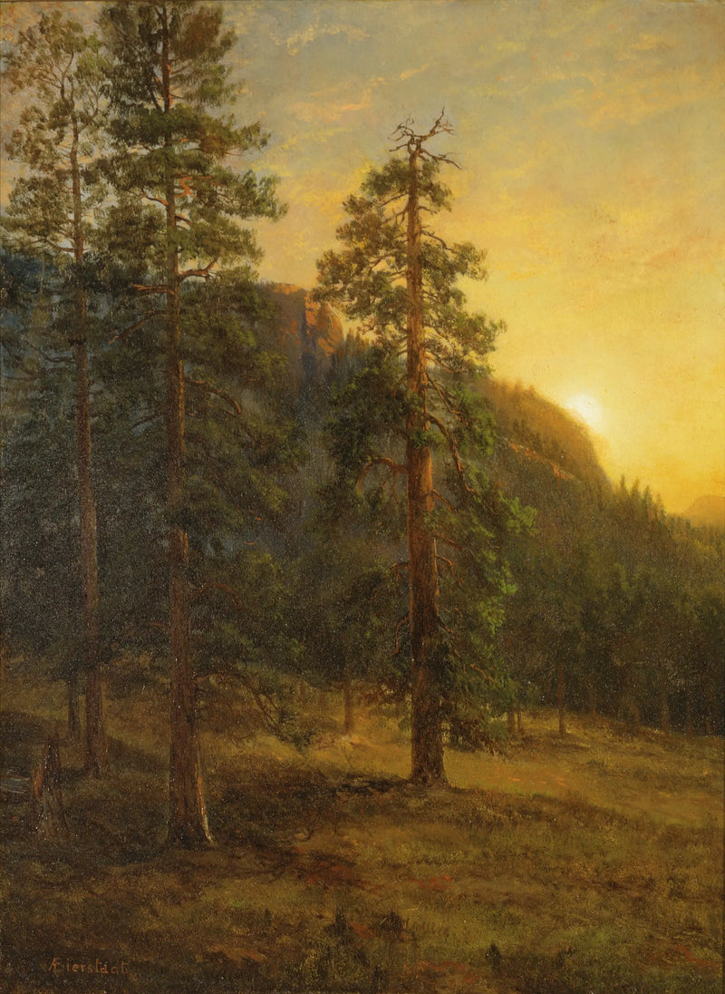 Sekwoje Kalifornijskie - Albert Bierstadt