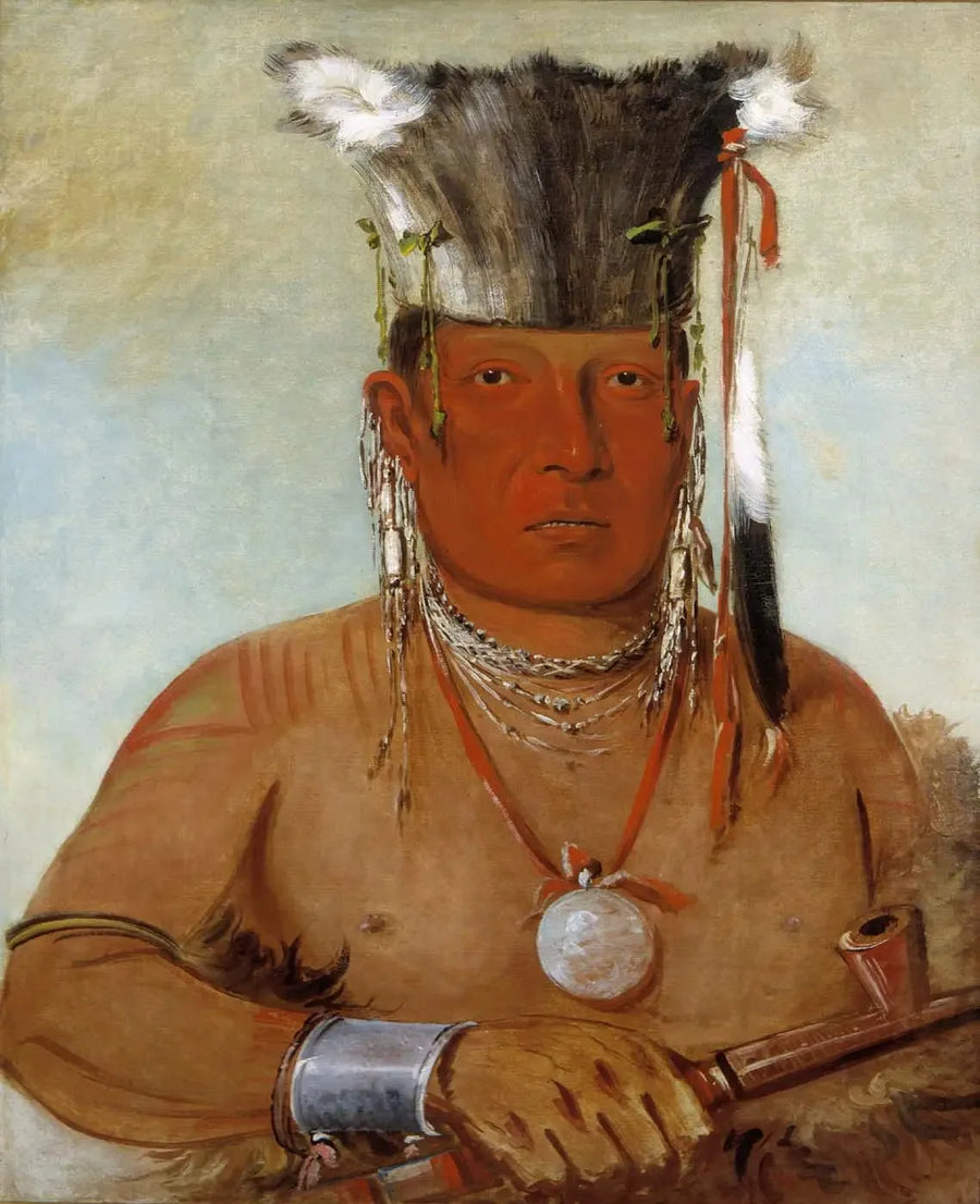 Sháw-da-mon-nee, oto on, dzielny - George Catlin