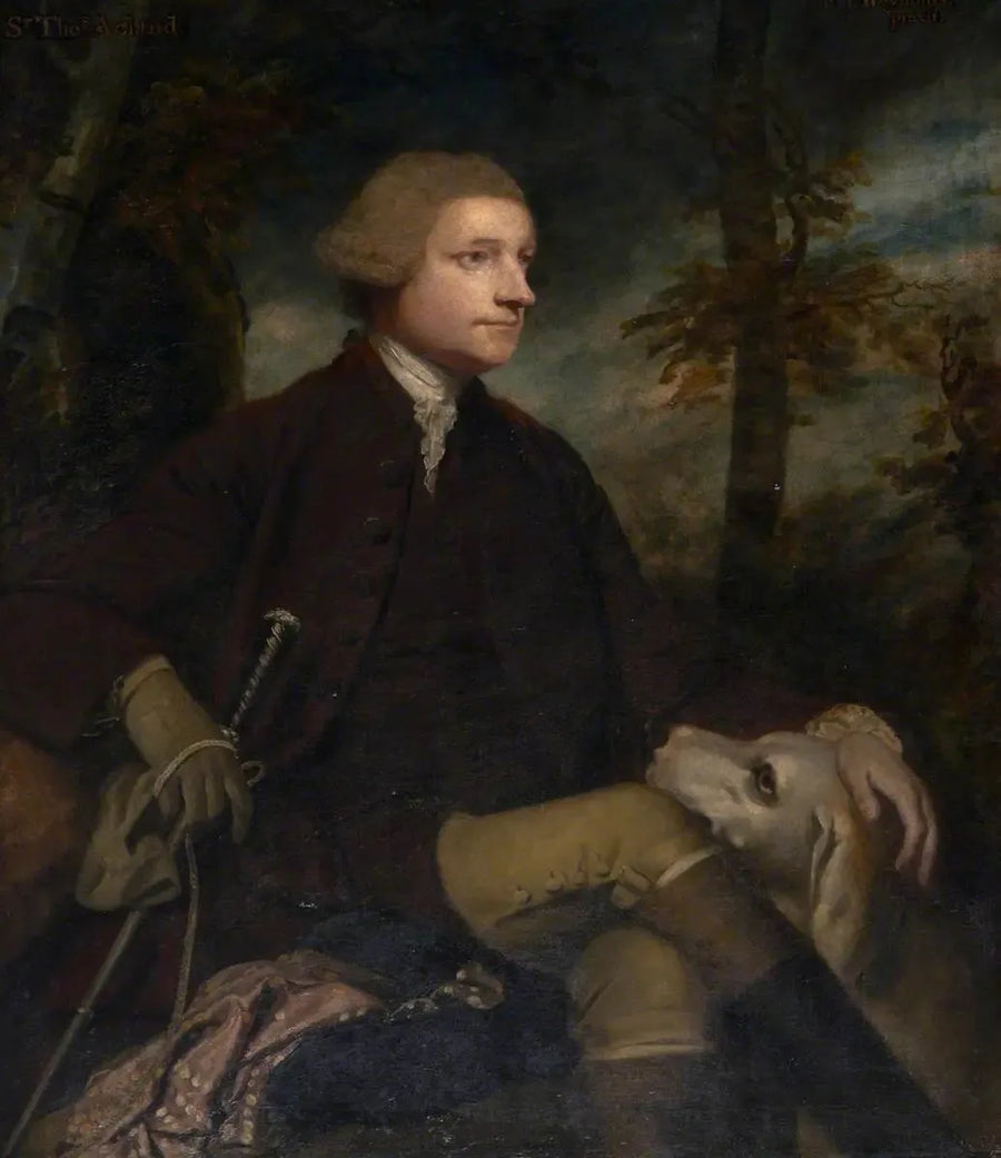 Sir Thomas Dyke Acland, 3. / 7. baronet Acland de Columb-John MP (1722-1785) - Joshua Reynolds