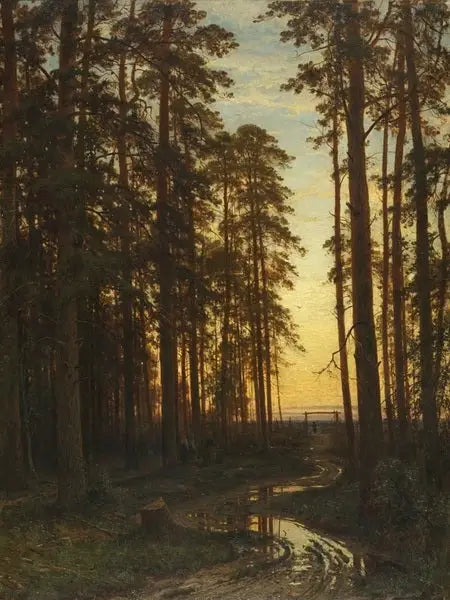 Wieczór w lesie sosnowym - Ivan Chichkine