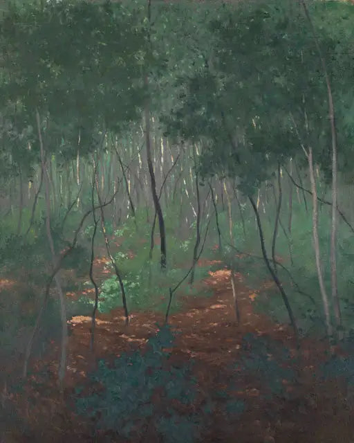 Podleśne, lekkie drzewa - Félix Vallotton