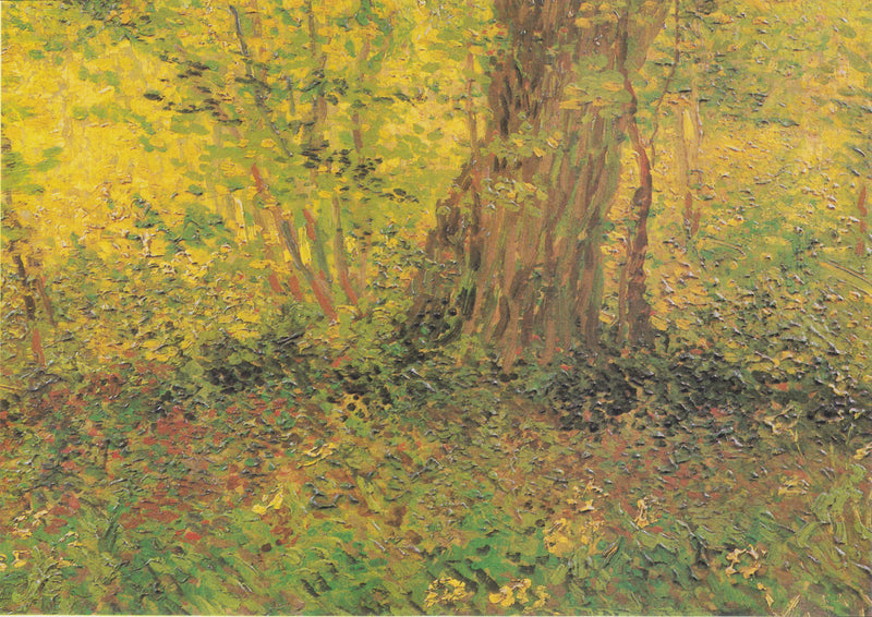 Leśny zakątek - Vincent van Gogh