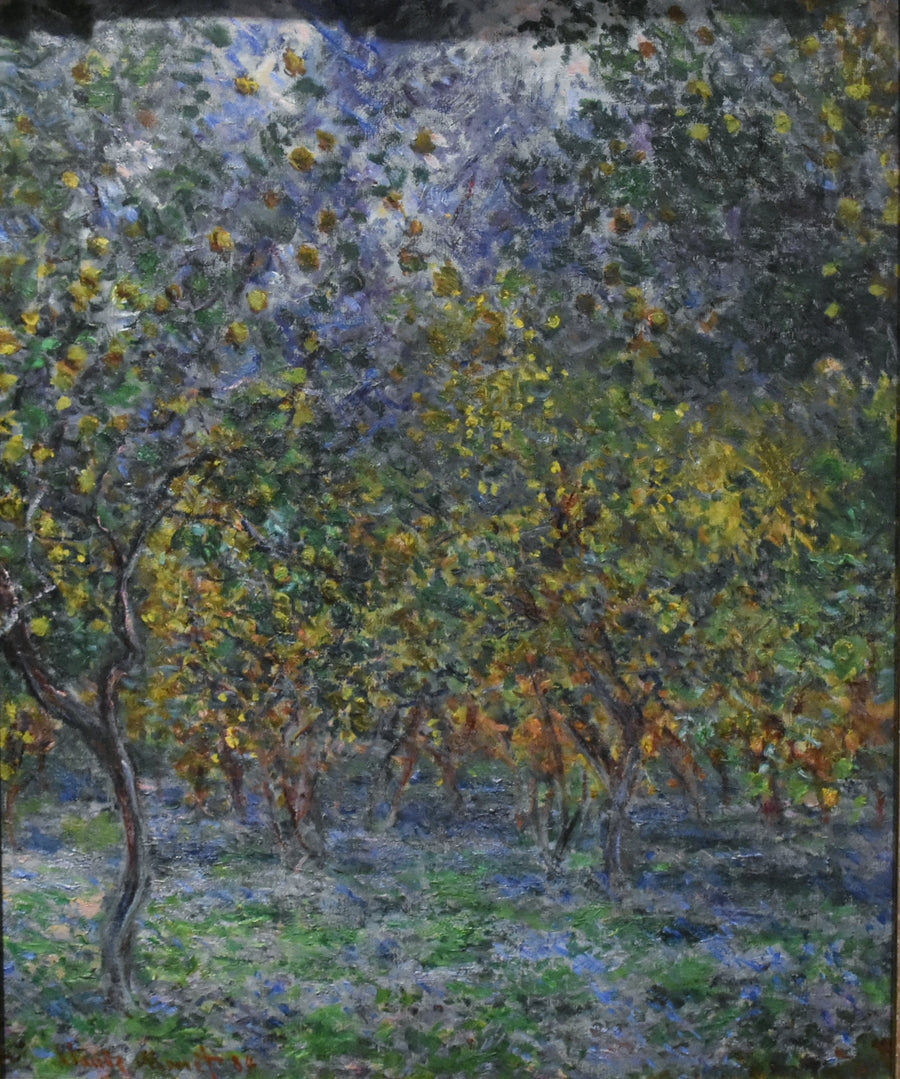 Pod drzewami cytrynowymi W873 - Claude Monet