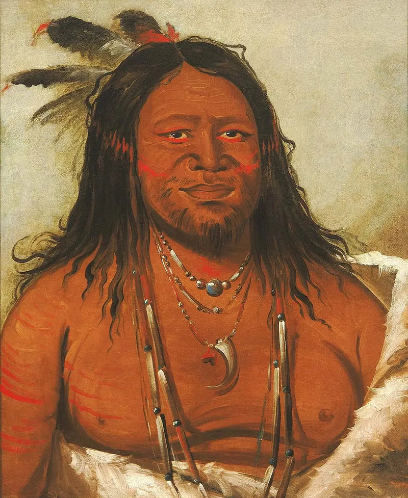 Ta-wáh-que-nah, Góra Skał, Drugi Przywódca Plemięcia - George Catlin